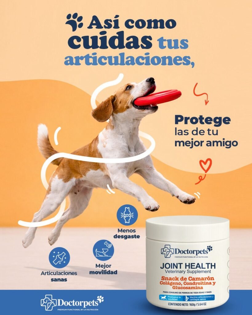 whatsapp image 2026 02 09 at 8.46.08 am